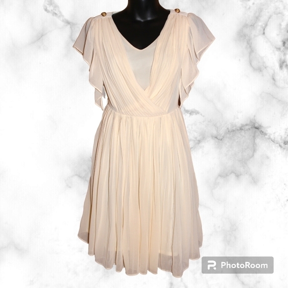 Ecolour Ciffon Pleated Dress - Picture 1 of 9
